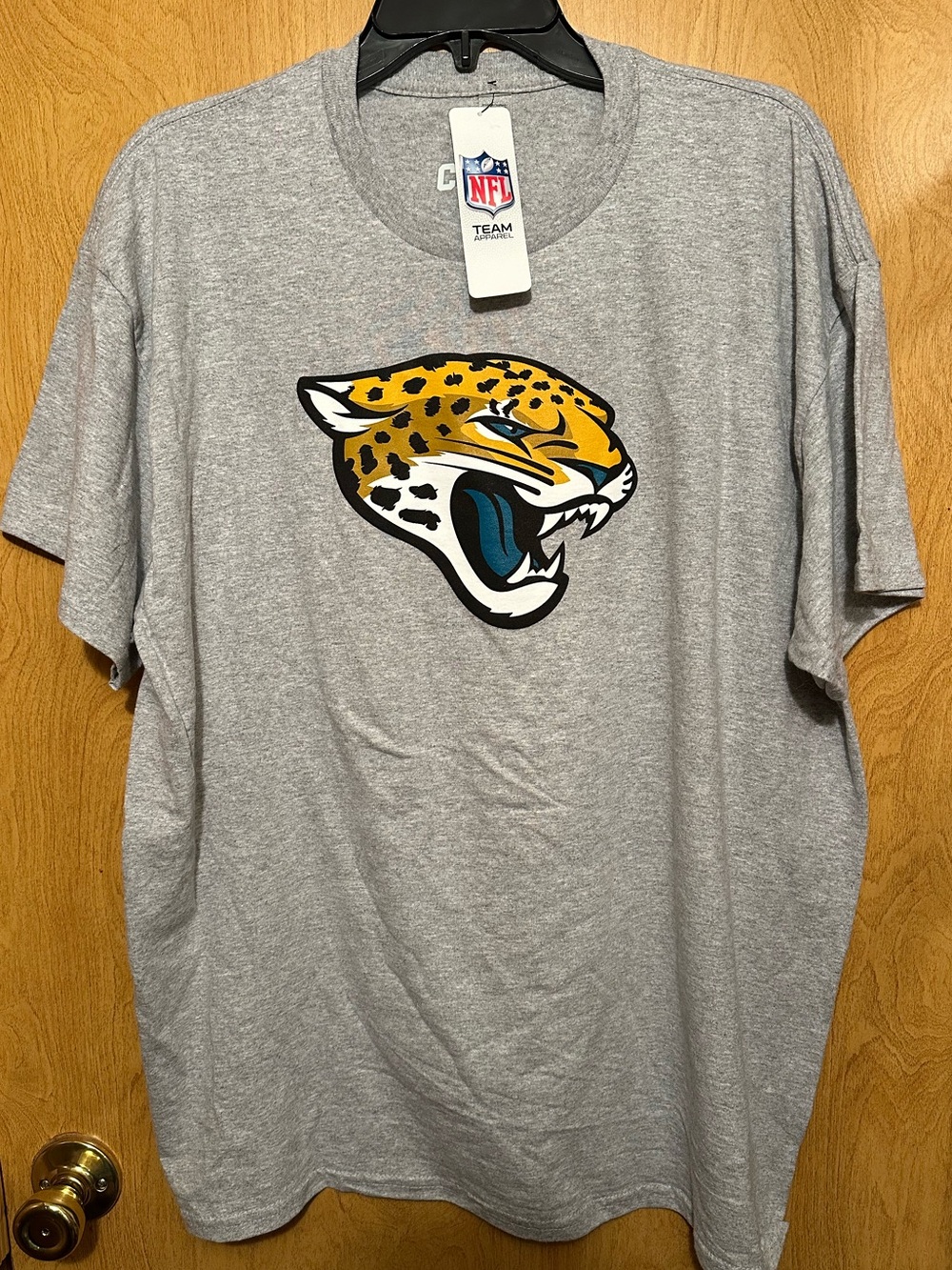 NWT CSA brand NFL Gray Jacksonville Jaguars Logo Short Sleeve Tee size medium